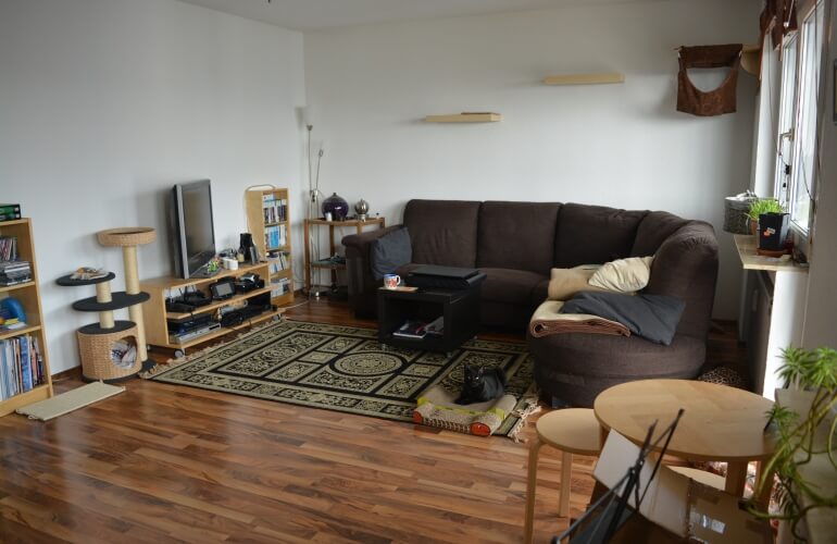 Living room with cat climbing wall for vertical space.