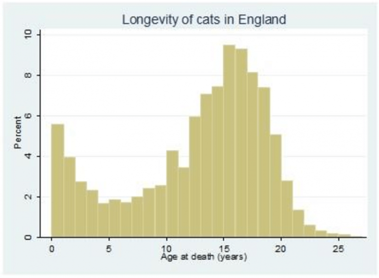 Longevity of cats in England