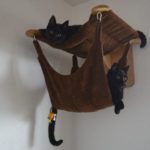 DIY: Cat Climbing Wall With Ikea Shelves