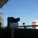 Making Your Balcony Safe For Cats  – A Field Report
