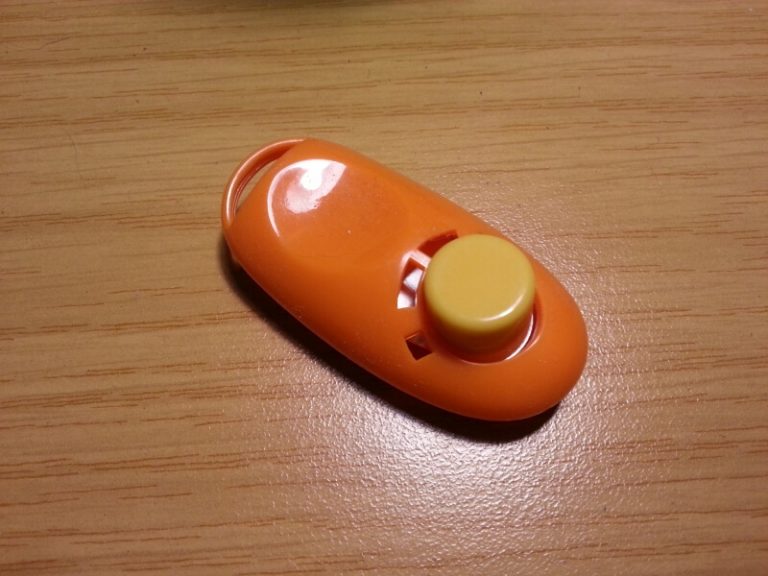 A clicker for training dogs or cats.